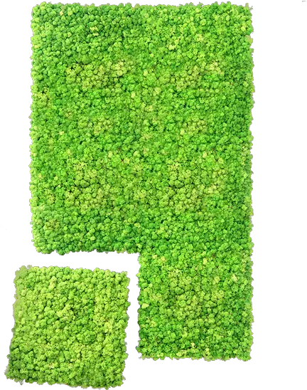 Wall System Vertical Lawn Png Hedge Png