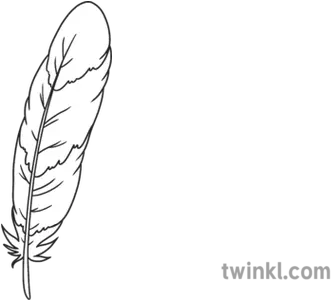 Feather 1 Fantastic Feathers Birds Animals Ks1 Black And Twinkl Autumn Leaves Png Feather Drawing Png