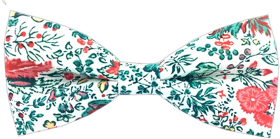 Albino Bush Dog Tie Paisley Png Bush Transparent