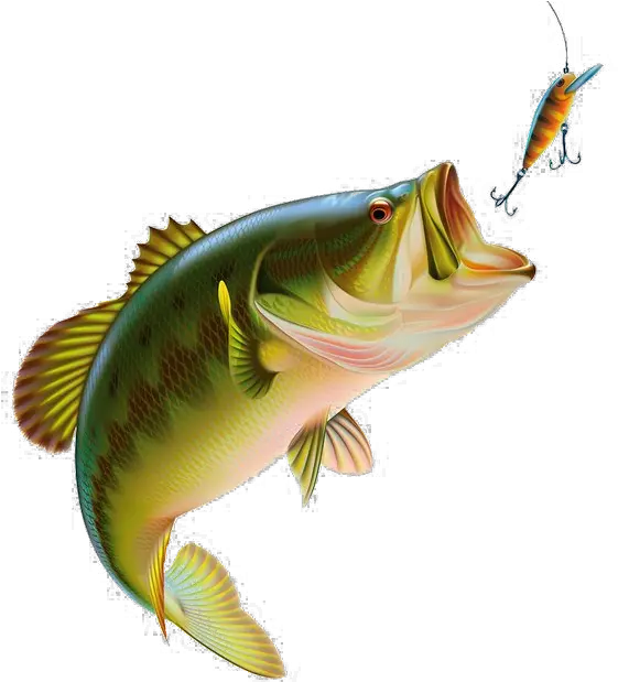 Fishing Transparent Images Png Arts Fishing Png Fishing Png png