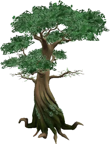 Jungle Tree Png Photo Jungle Tree Png Jungle Png