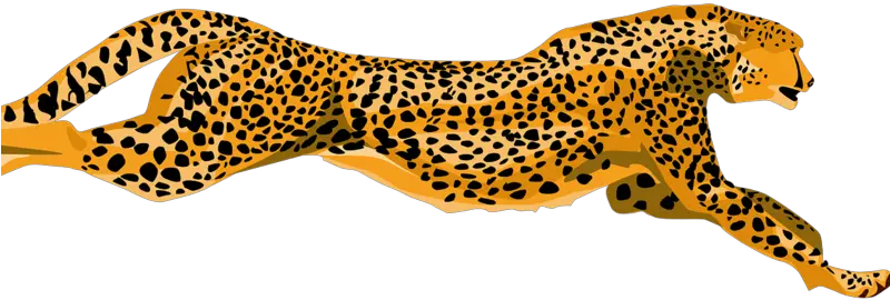 Cheetah Clipart Emoji Cheetah Clipart Png Cheetah Transparent
