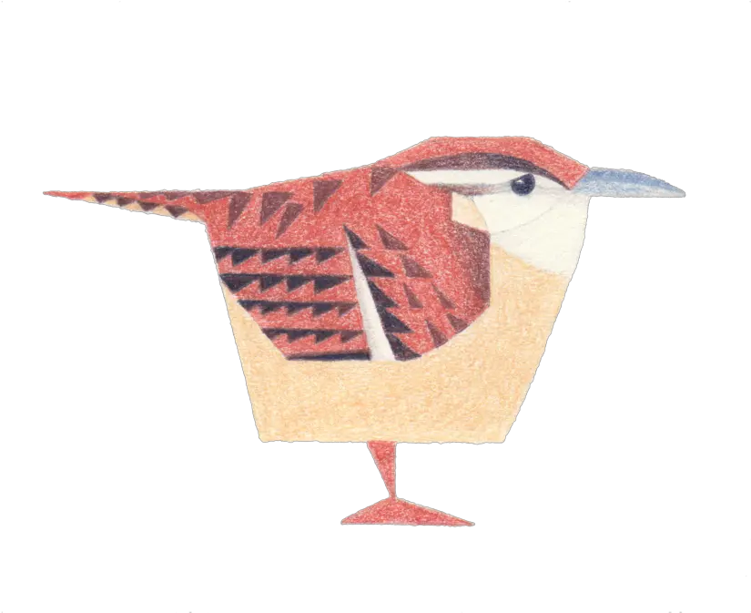 Wren U2014 American Cyborg Carolina Wren Png Cyborg Png