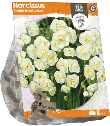 Download Narcissus Double Bridal Crown Daffodil Png Daffodil Icon
