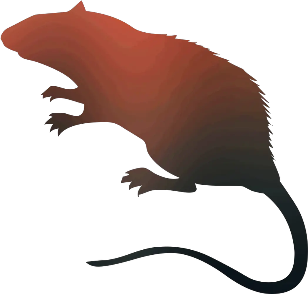 Rat Vector Graphics Royalty Free Silhouette Stock Rat Silhouette Png Rat Png
