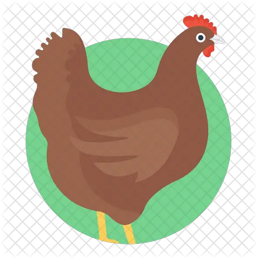 Hen Icon Fowl Png Hen Png