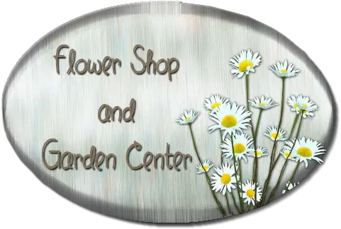 Script Library Camomile Png Daisies Png