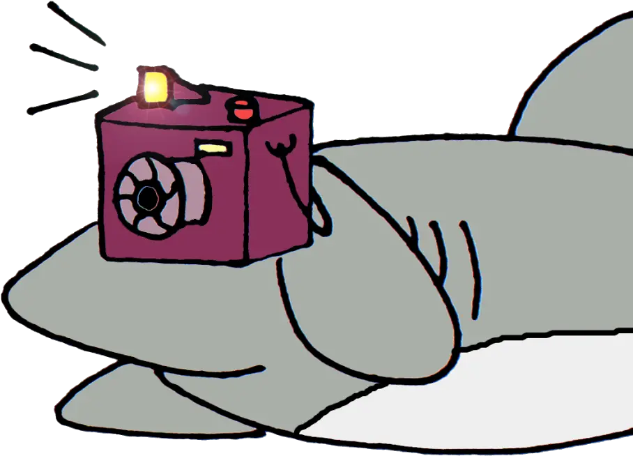 Download Shark With Camera Cartoon Png Cartoon Shark With Camera Camera Cartoon Png png