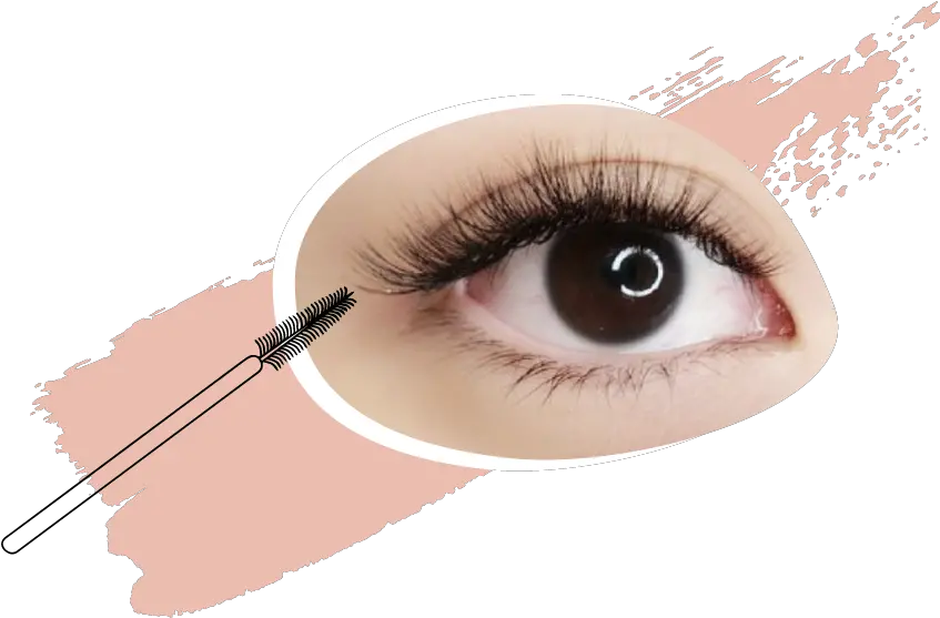 About Us Eyelash Extension Price Eyelash Extensions Png Eyelash Png