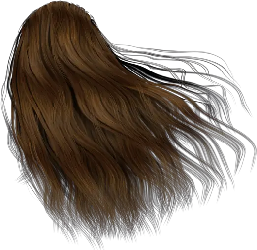 Hair Back Png 6 Image Women Hair Back Png Hair Png Transparent