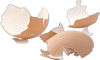 Shattered Eggshell Transparent Png Broken Egg Shell Png Cracked Egg Png