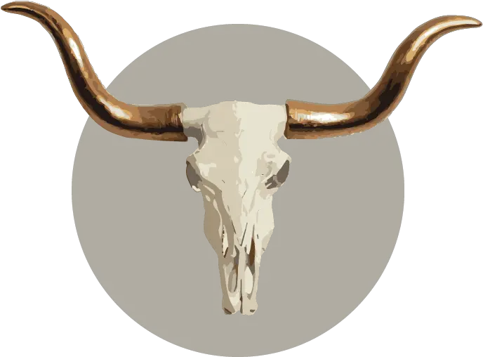 Jacobs Sauces Texas Longhorn Png Bull Skull Icon