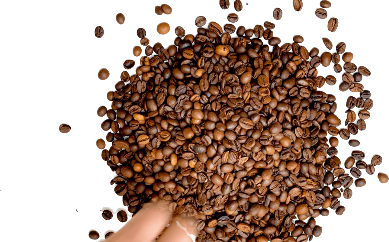 Coffee Cup Stain Png Bg03 Coffee Bg Images Png Coffee Coffee Stain Png png