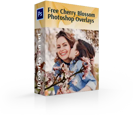 Cherry Blossom Png Overlays Book Cover Png Overlays