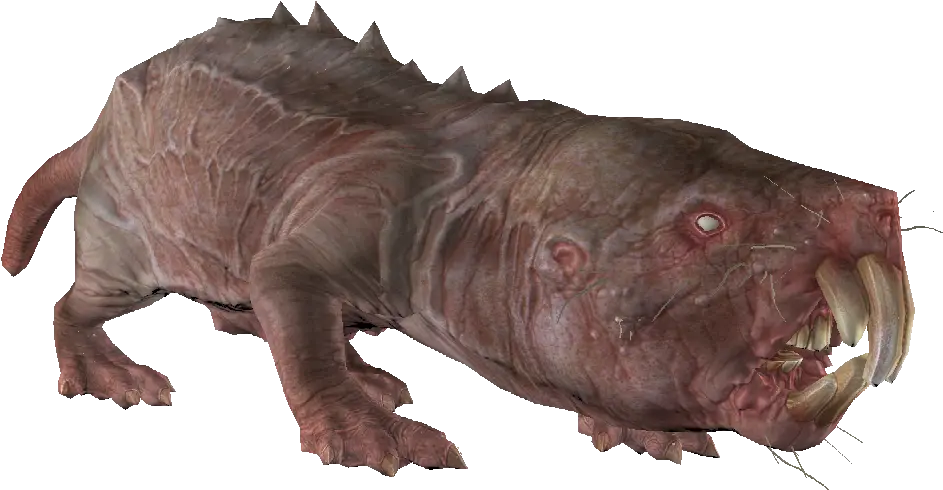 Mole Rat Fallout 4 The Vault Fallout Wiki Everything Fallout 4 Rat Png Rats Png