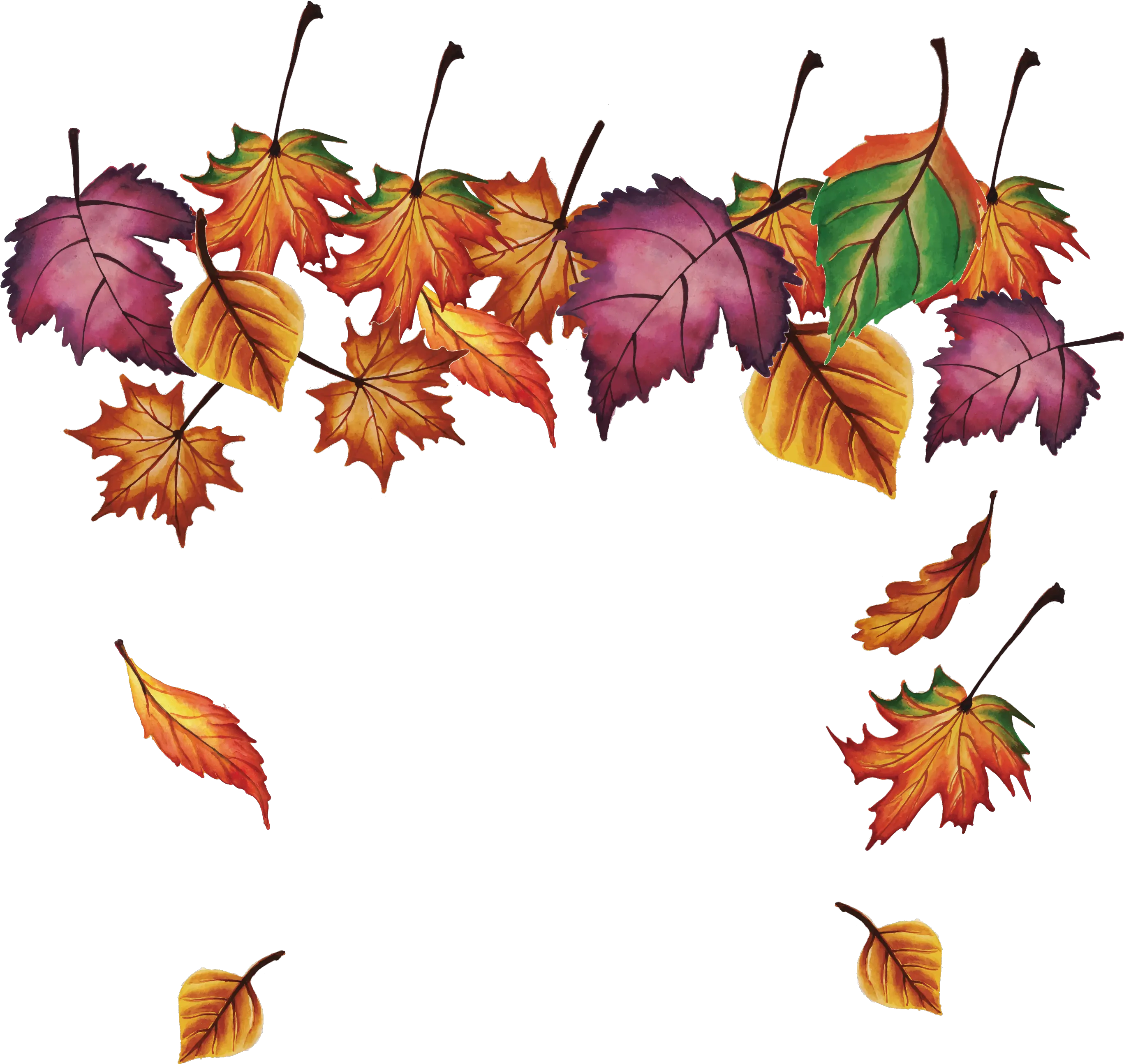 Fall Leaves Falling Png Autumn Transparent Cartoon Jingfm Transparent Fall Leaves Fall Clipart Falling Leaves Transparent