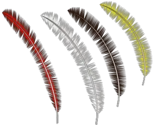 Feathers Collection Transparent Png Stickpng Feather Black Feather Png
