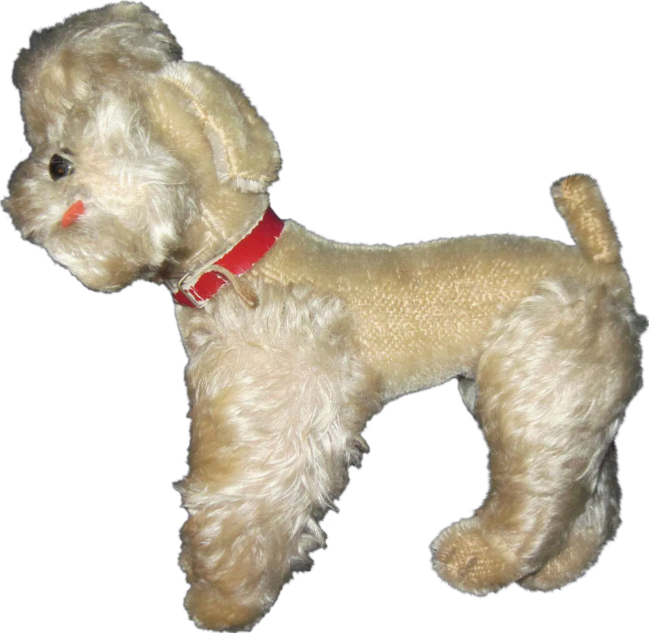 Miniature Poodle Schnoodle Shih Tzu Cockapoo Poodle Png Shih Tzu Poodle Png