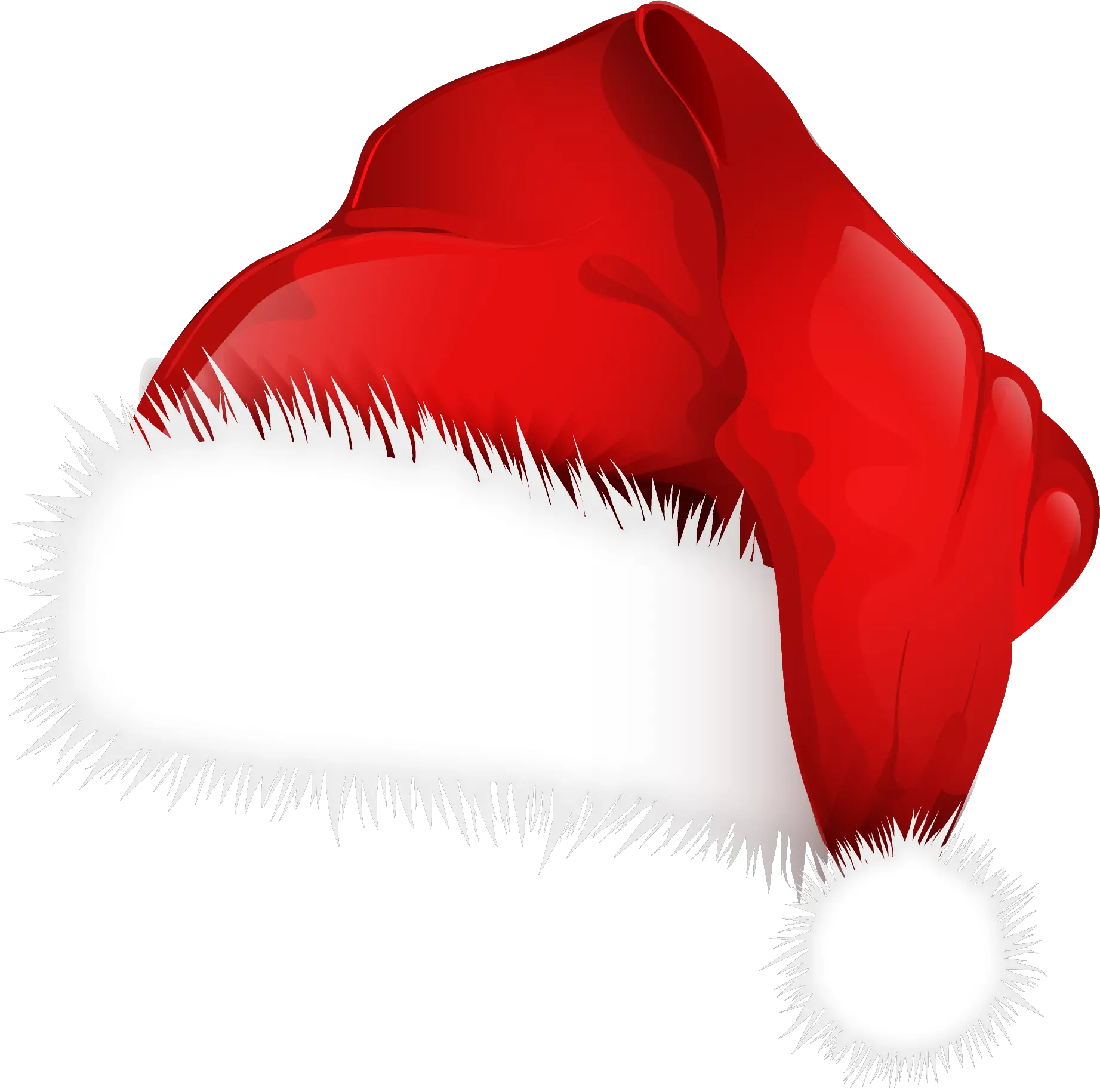 Christmas Tree With Hat Png