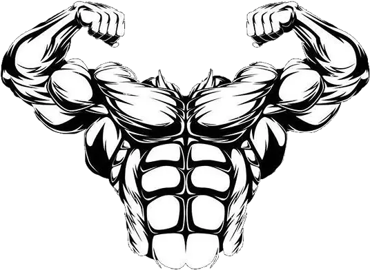 Muscle Muscles Muscleman Champion Abs Sixpack Transparent Cartoon Muscle Man Png Muscle Man Png
