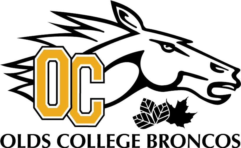 Olds Broncos Png Image With No Olds College Broncos Png