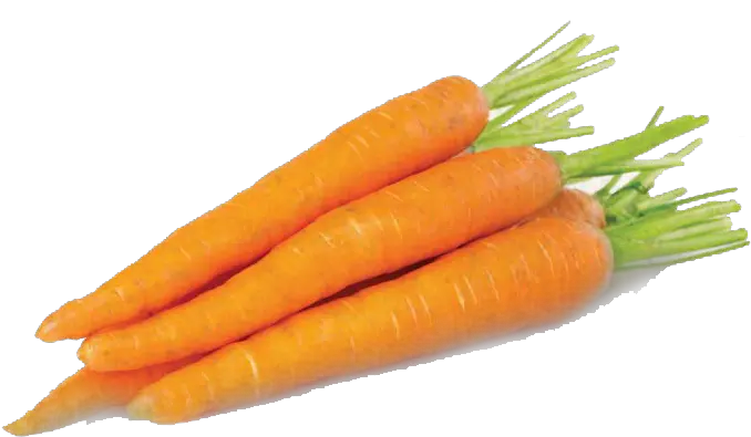 Carrots Png Image Fresh Carrot Carrots Png