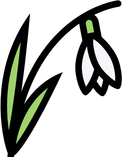 30 904 Free Vector Icons Of Flower Language Png Daffodil Icon