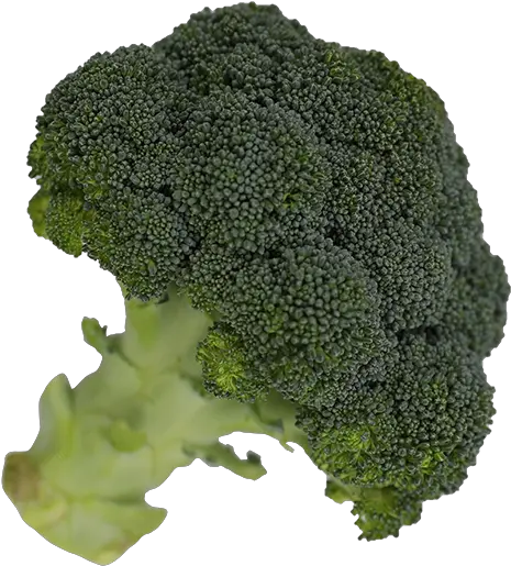 Broccoli Superfood Png Broccoli Png