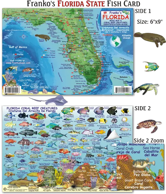 Florida State Fish Card Frankou0027s Fabulous Maps Of Favorite Reef Fish Of Florida Png Florida Map Png