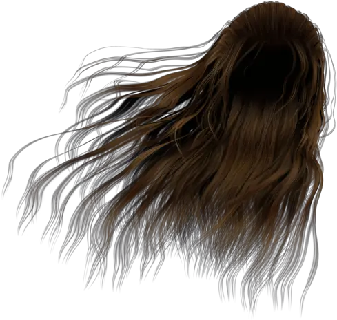 Download Hd J84pum0 Transparent Hair In The Wind Png Wind Png