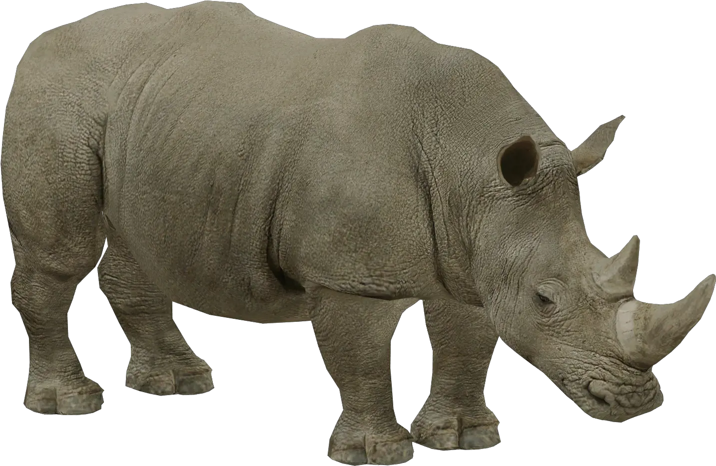 White Rhinoceros Remake The Zt2 Round Table Zt2 White Rhinoceros Png Rhino Icon