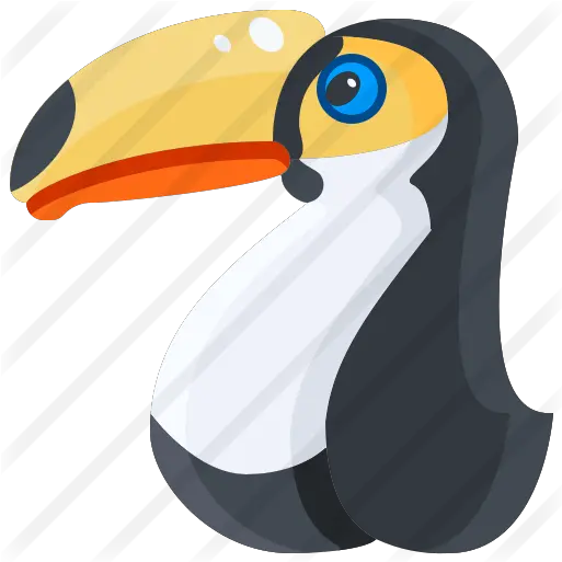 Toucan Free Animals Icons Long Png Toucan Png