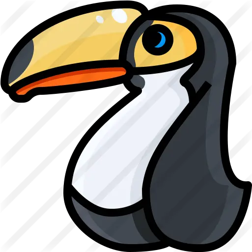 Toucan Free Animals Icons Long Png Toucan Png