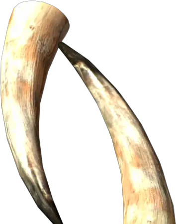 Goat Horns Elder Scrolls Fandom Skyrim Goat Horns Png Goat Transparent Background