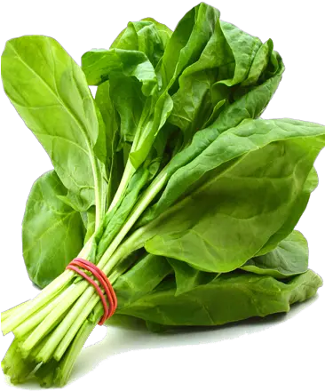 Download Spinach Png Free Vegetable Spinach Spinach Png