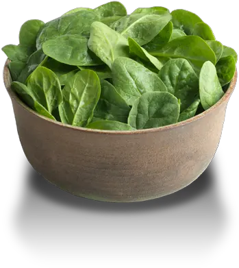 Spinach Png Vegetarian Cuisine Spinach Png