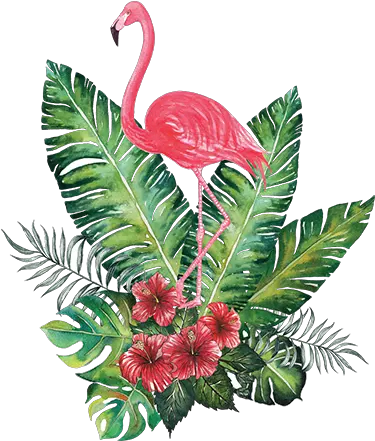 Flamingo Tropical Png Image With No Tropical Flamingo Tropical Png