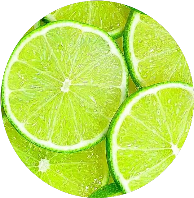 Circle Frut Limon Circulo Png Tumblr Stiker Lemon Limon Png