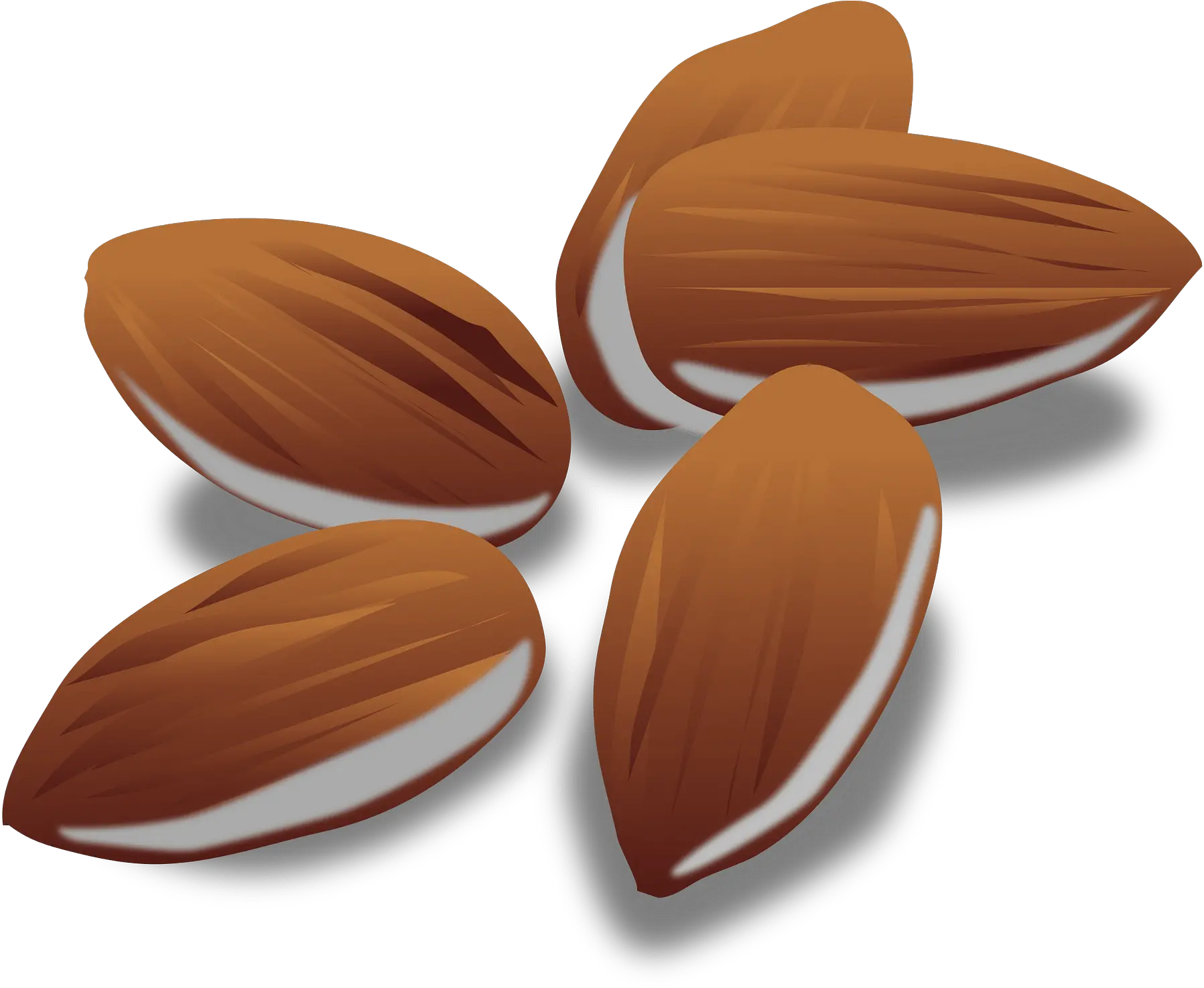 Almonds Clipart Free Download Transparent Png Creazilla A1c Almond Png