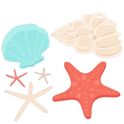 Library Of Transparent Background Png Seashell Jpg Free Transparent Background Seashells Clipart Ocean Transparent Background