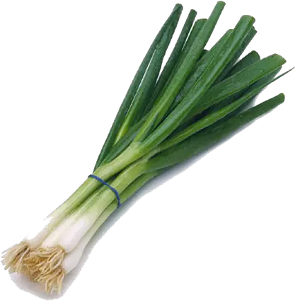 Download Green Onion Png Onion Png