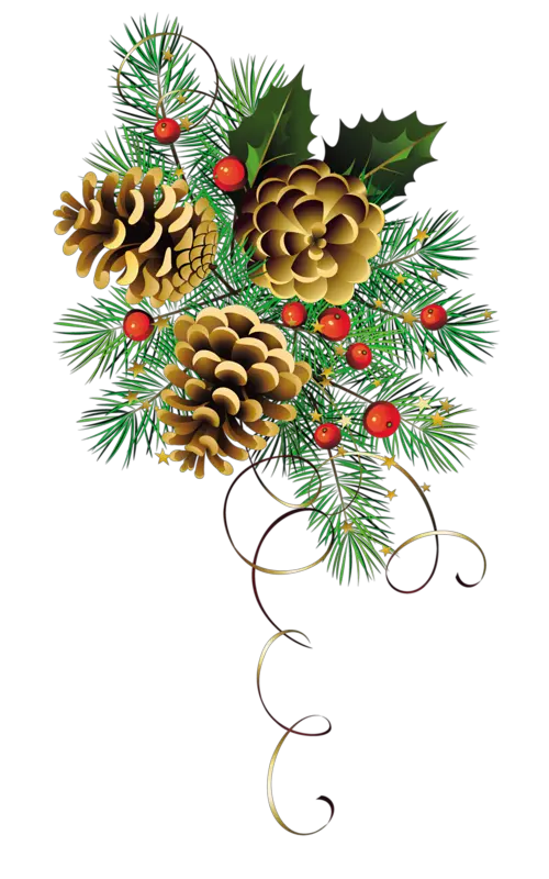 Christmas Mistletoe Png