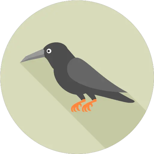 Crow Png Icon 5 Png Repo Free Png Icons Hummingbird Crow Transparent
