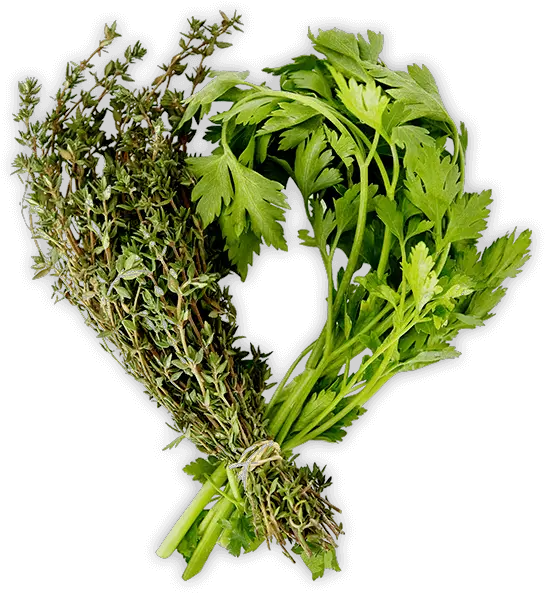 Herbs Camomile Png Herbs Png