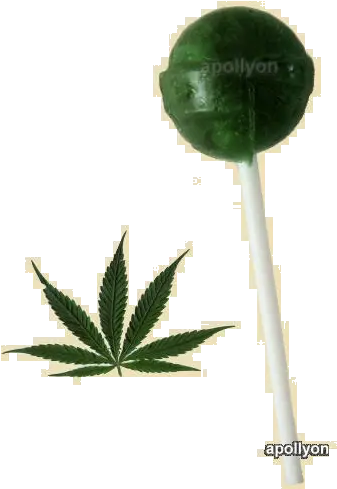 Cannabis Lollipop Cannabis Png Marijuana Plant Png