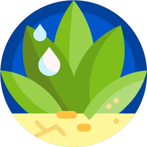 Succulent Free Nature Icons Vertical Png Succulent Icon