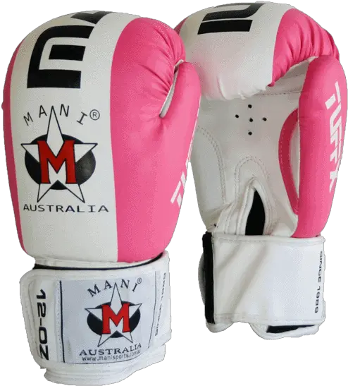 Pink Boxing Gloves Png Boxing Glove 1603229 Vippng Boxing Glove Mma Glove Icon