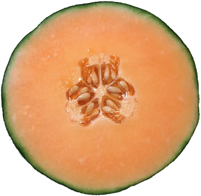 Melon Cantaloupe Orange Free Image On Pixabay Animation Png Melon Png