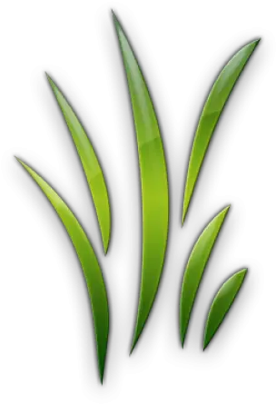 Cropped Bladesofgrassclipart19jpgpng 1 Blades Of Grass Grass Clipart Transparent