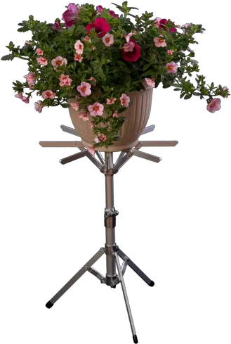 Download Hd Wedding Flower Stand Png Garden Roses Stand Png